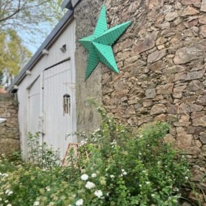 Kermit, l'étoile Amish – Image 2