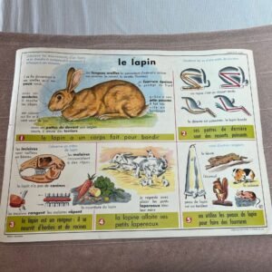 Jeannette, l'affiche scolaire