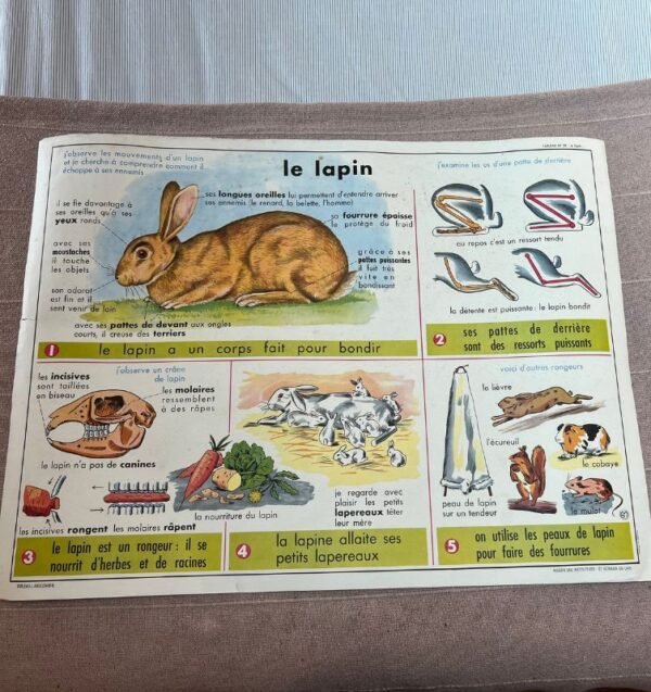 Jeannette, l'affiche scolaire