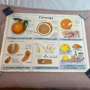 Paulette, l'affiche scolaire