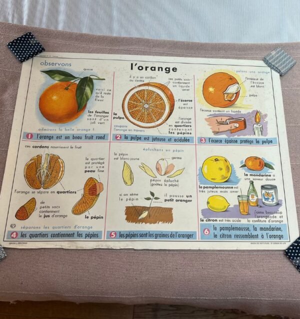 Paulette, l'affiche scolaire