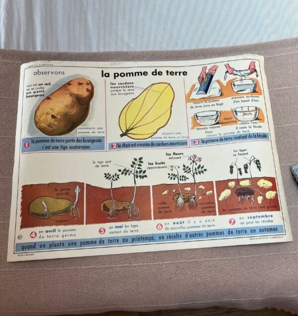 Ginette, l'affiche scolaire – Image 2