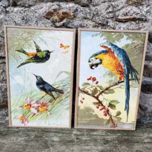 Germaine, la paire de chromos Catharina Klein